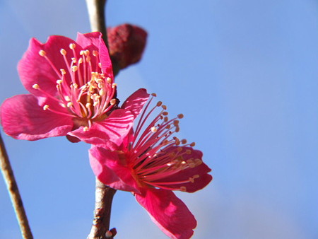 2008_02280144