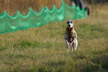 1024IMGP1246