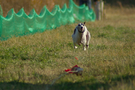 1024IMGP1194