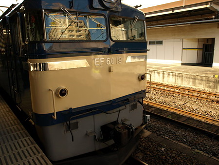 EL奥利根号 EF61−19(高崎駅)
