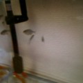 Photos: CIMG0019