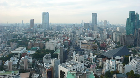 タワー絶景