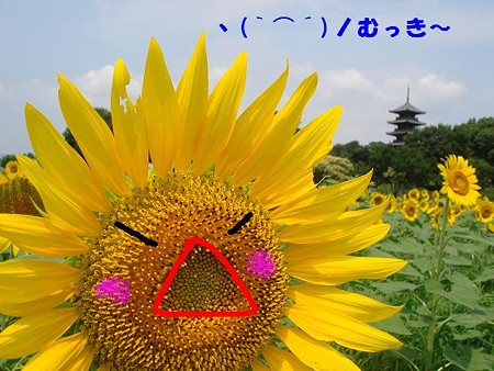 怒りんぼ