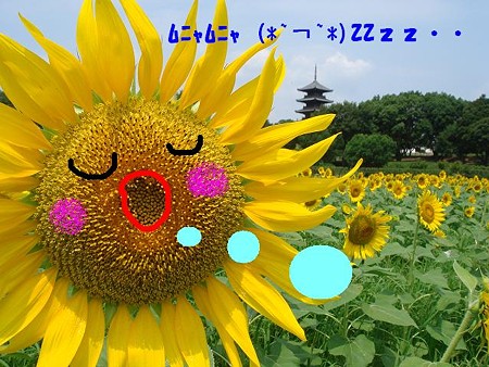 眠い