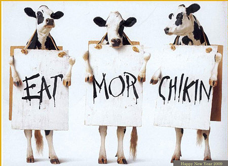 funny-cow-pic