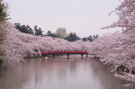 弘前公園_02