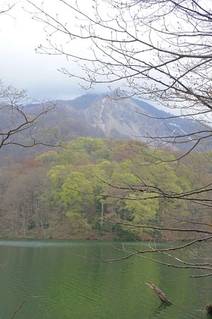 白神山地 十二湖