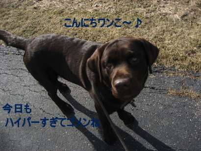 今日も元気モリモリ♪