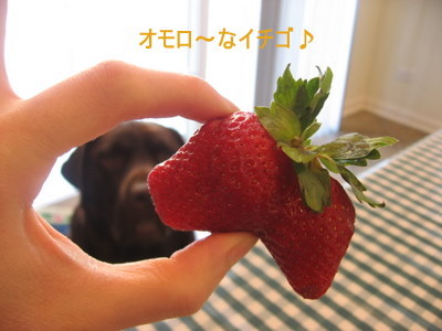 今日のおやつ♪