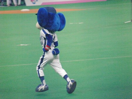 076 どこへ向かう?ドアラ!
