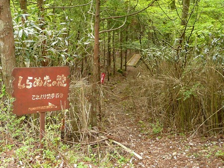 シラヌタの池 入口