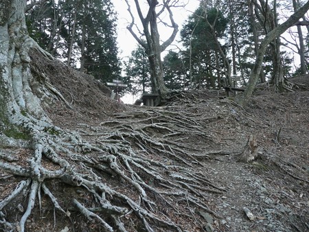 天城峠