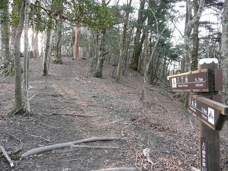 八丁池へ続くハイキングコース