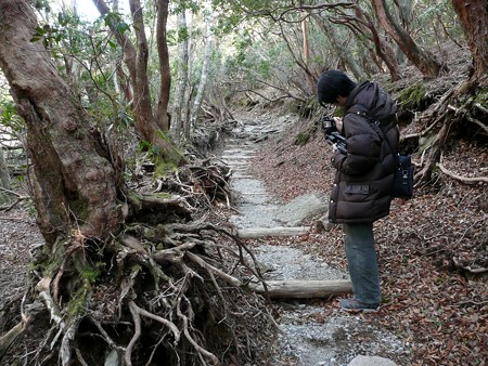 八丁池へ続くハイキングコース