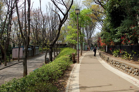 広場から動物園へ続く道