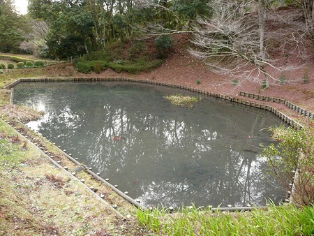 山中城跡 箱井戸