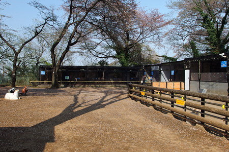 夢見ヶ崎動物公園 小動物舎