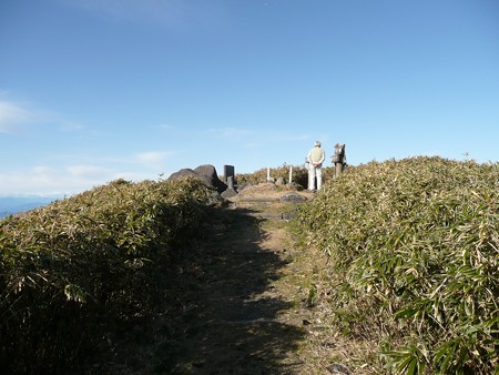 達磨山頂上