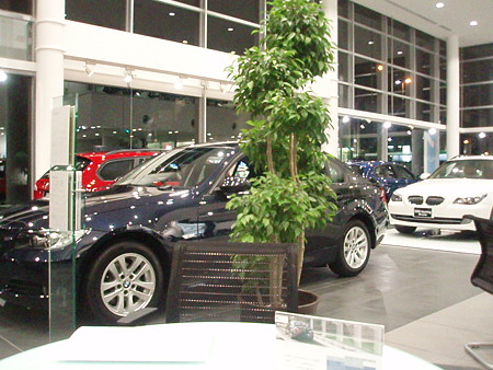 BMW
