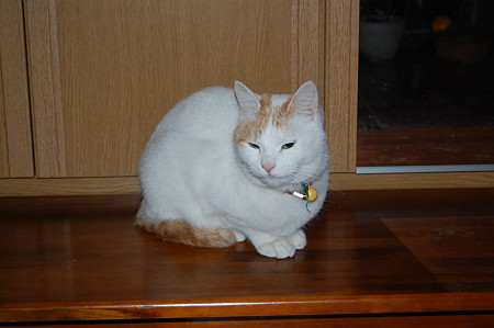 DSC_0024.JPG