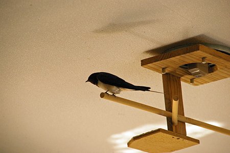 彼女どこ~?