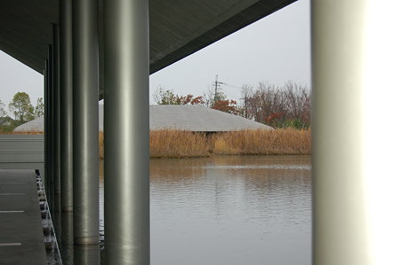 滋賀2008 11.24 020