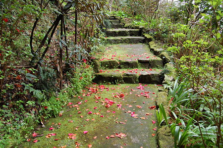 飛鳥岡寺2009 3.20