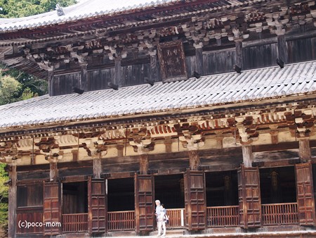 円教寺 大講堂2014年04月12日_P4120160