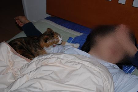 一緒に寝てあげてるの。
