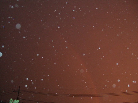 02雨の中の虹