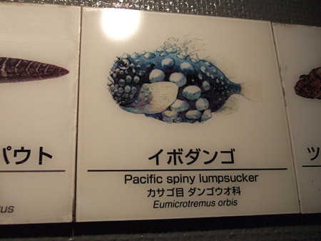 08見たまんまの変な名前でも