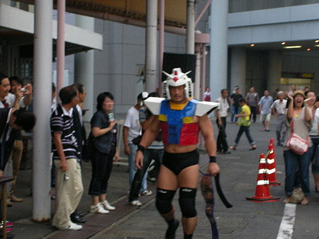ddt 008