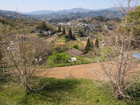 P1012238