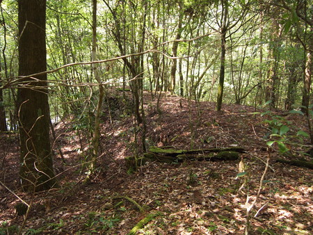 P5032383