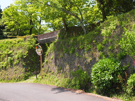 P5042443