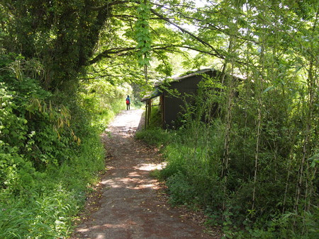 P5042510