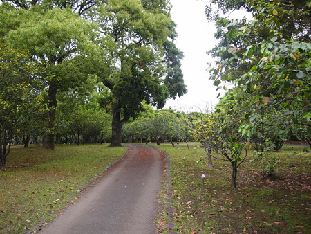 P1012791