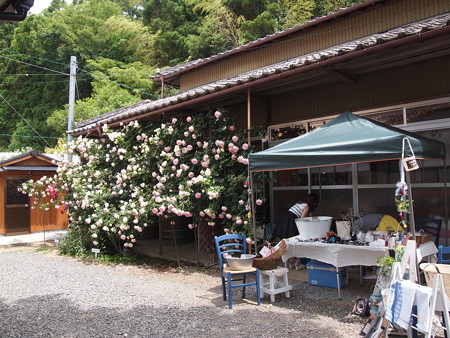 P6013332