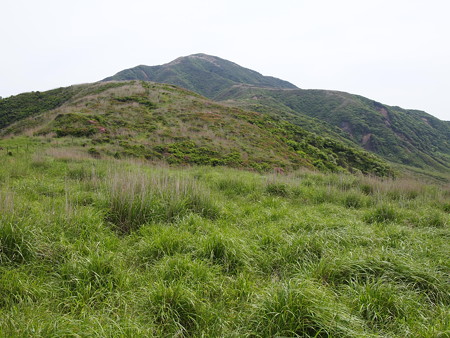 P6013383