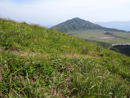 P6013422