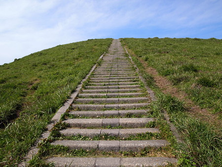 P6013423