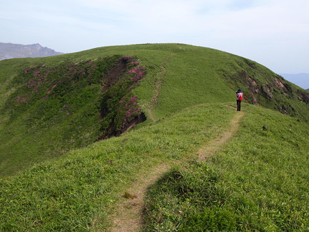 P6013461