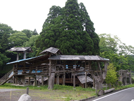 P6013515