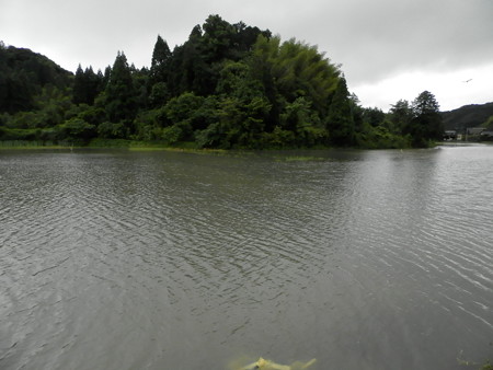 P6043994