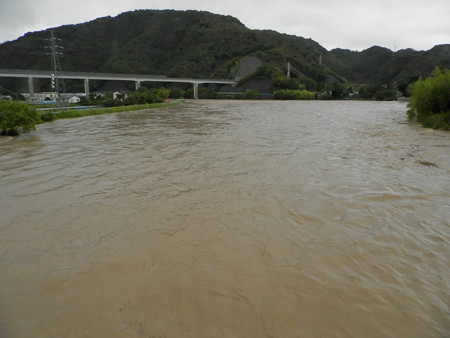 P6044000