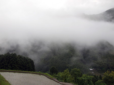 P6113533e
