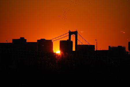 DSC_5284