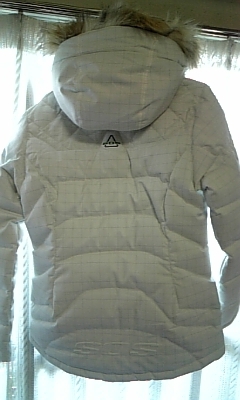 2009zer28