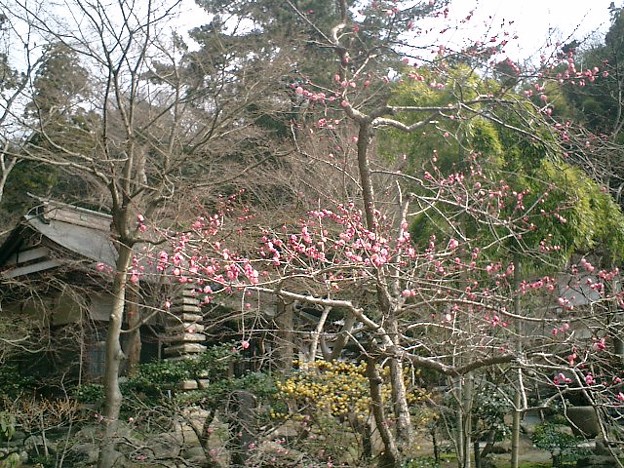 写真: 08）鎌倉「覚園寺」。