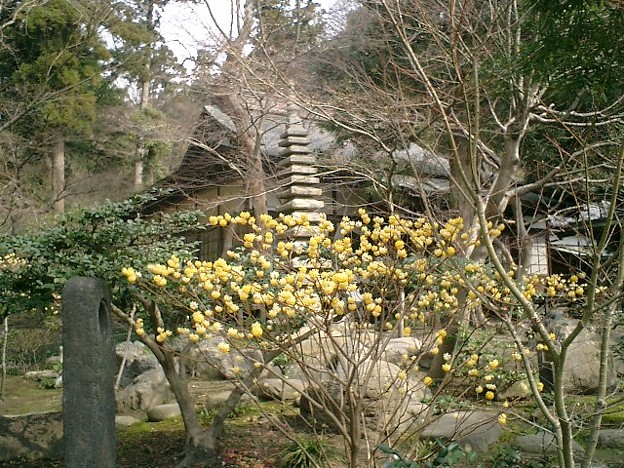 写真: 10）鎌倉「覚園寺」。